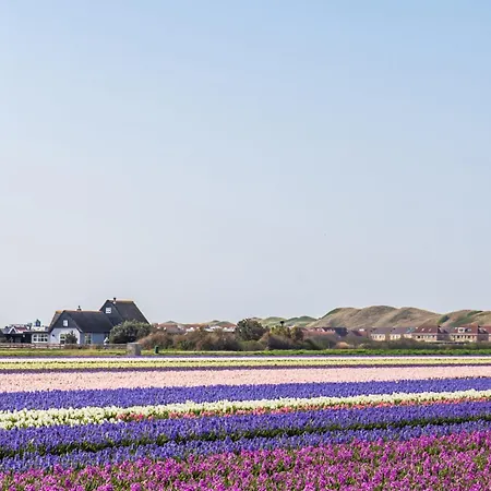 Holiday home Solea - Aan Zee
